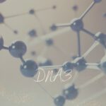 DNA3